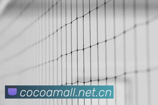 世界杯官方网发展历程